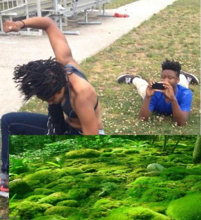 "quest: harasses me constantly and moss abuses against me and is a huge mean jerk narcissist" the moss abuse in question: | made w/ Imgflip meme maker