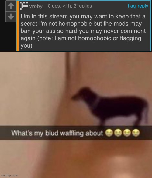 image tagged in what's my blud waffling about | made w/ Imgflip meme maker