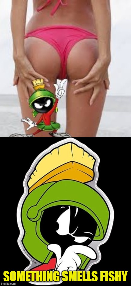 SOMETHING SMELLS FISHY | made w/ Imgflip meme maker
