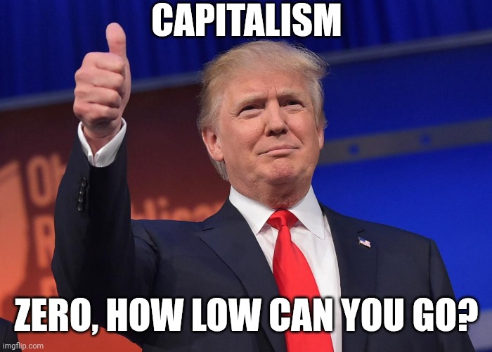 Can we just call it Trumpalism? | CAPITALISM; ZERO, HOW LOW CAN YOU GO? | image tagged in donald trump,zero,global free trade,rampant sarcasm | made w/ Imgflip meme maker