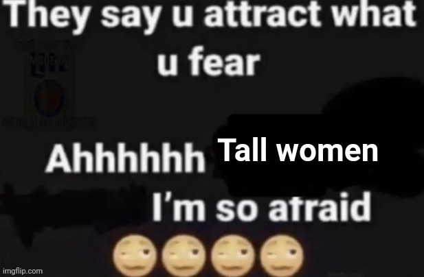 They say you attract what you fear | Tall women | image tagged in they say you attract what you fear | made w/ Imgflip meme maker