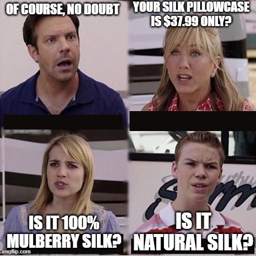 You guys are getting paid template | YOUR SILK PILLOWCASE IS $37.99 ONLY? OF COURSE, NO DOUBT; IS IT NATURAL SILK? IS IT 100% MULBERRY SILK? | image tagged in you guys are getting paid template | made w/ Imgflip meme maker