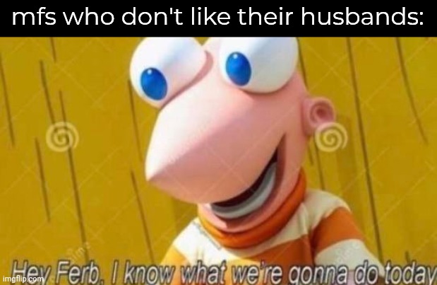 Hey Ferb | mfs who don't like their husbands: | image tagged in hey ferb | made w/ Imgflip meme maker