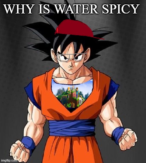 My Dragonball OC | WHY IS WATER SPICY | image tagged in my dragonball oc | made w/ Imgflip meme maker