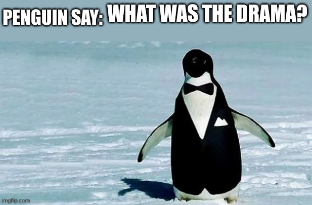 cocky_balls announcement temp | WHAT WAS THE DRAMA? | image tagged in cocky_balls announcement temp | made w/ Imgflip meme maker