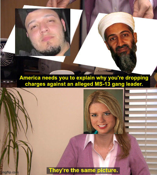 Pam got some 'splainin' to do. | America needs you to explain why you're dropping
charges against an alleged MS-13 gang leader. | image tagged in memes,they're the same picture,pam bondi | made w/ Imgflip meme maker