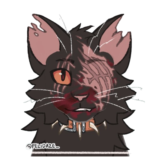 Shadowpaws Blank Meme Template
