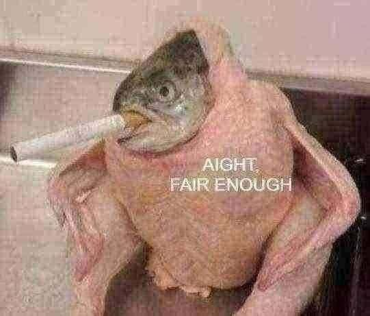 aight fair enough fish Blank Meme Template