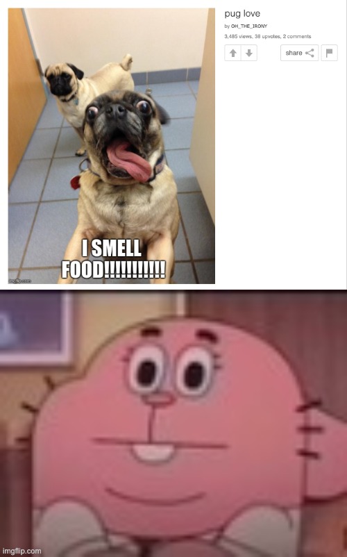 fun stream ahh meme | image tagged in richard watterson staring | made w/ Imgflip meme maker