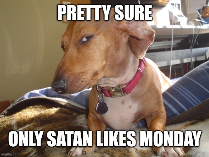 Suspicious Dog | PRETTY SURE; ONLY SATAN LIKES MONDAY | image tagged in suspicious dog | made w/ Imgflip meme maker