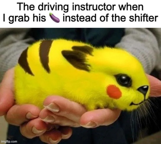 image tagged in pikachu bunny | made w/ Imgflip meme maker