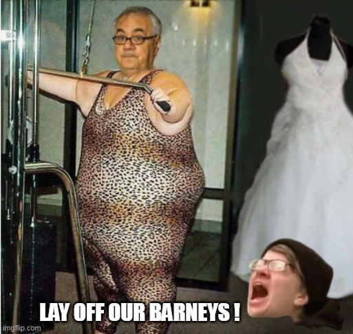 LAY OFF OUR BARNEYS ! | made w/ Imgflip meme maker
