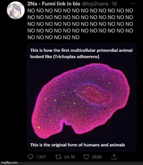 . | made w/ Imgflip meme maker