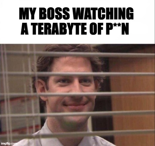 normal work day | MY BOSS WATCHING A TERABYTE OF P**N | image tagged in jim halpert | made w/ Imgflip meme maker