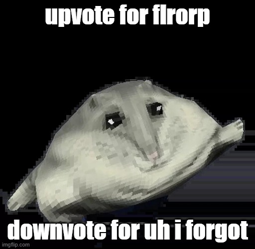 Florp | upvote for flrorp; downvote for uh i forgot | image tagged in florp | made w/ Imgflip meme maker
