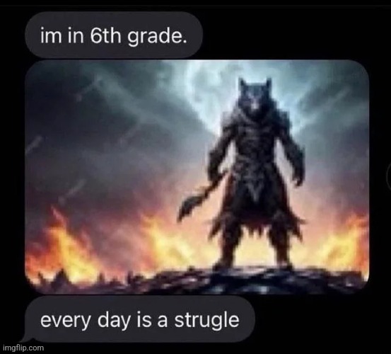 made w/ Imgflip meme maker