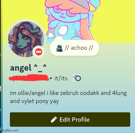 i loooove making my discord profile look pretty | made w/ Imgflip meme maker