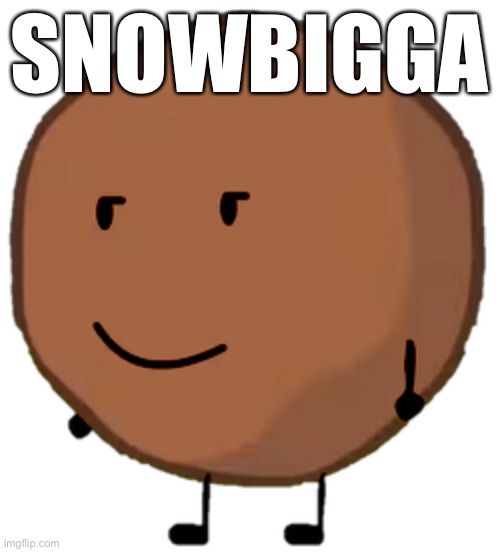 -100 human rights, +200 N word pass | SNOWBIGGA | made w/ Imgflip meme maker