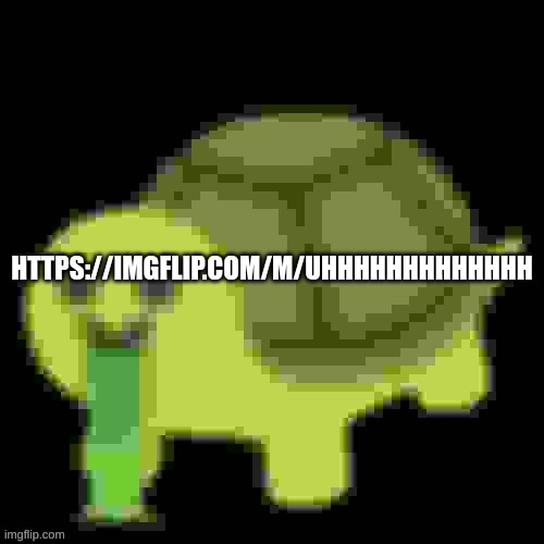 Low Quality Barfing Turtle | HTTPS://IMGFLIP.COM/M/UHHHHHHHHHHHHH | image tagged in low quality barfing turtle | made w/ Imgflip meme maker