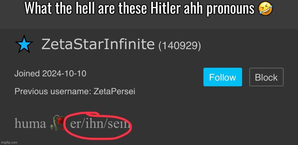 IM FUCKING CRYING | What the hell are these Hitler ahh pronouns 🤣 | made w/ Imgflip meme maker