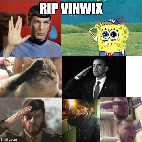 Salutes | RIP VINWIX | image tagged in salutes | made w/ Imgflip meme maker