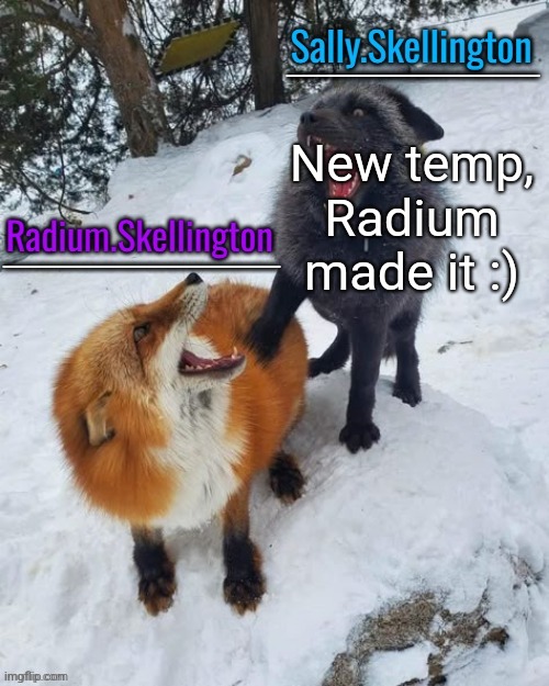 Radium and Sally temp | New temp, Radium made it :) | image tagged in radium and sally temp | made w/ Imgflip meme maker