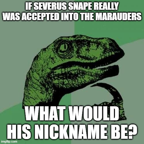 Unless it was like Dumbledore's Army. No Slytherins. | IF SEVERUS SNAPE REALLY WAS ACCEPTED INTO THE MARAUDERS; WHAT WOULD HIS NICKNAME BE? | image tagged in memes,philosoraptor,harry potter,marauders,books,movies | made w/ Imgflip meme maker