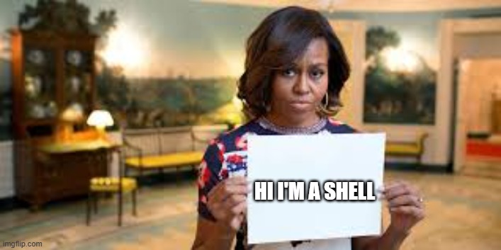 michelle's a shell | HI I'M A SHELL | image tagged in michelle obama | made w/ Imgflip meme maker