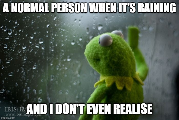 kermit window | A NORMAL PERSON WHEN IT'S RAINING; AND I DON'T EVEN REALISE | image tagged in kermit window | made w/ Imgflip meme maker
