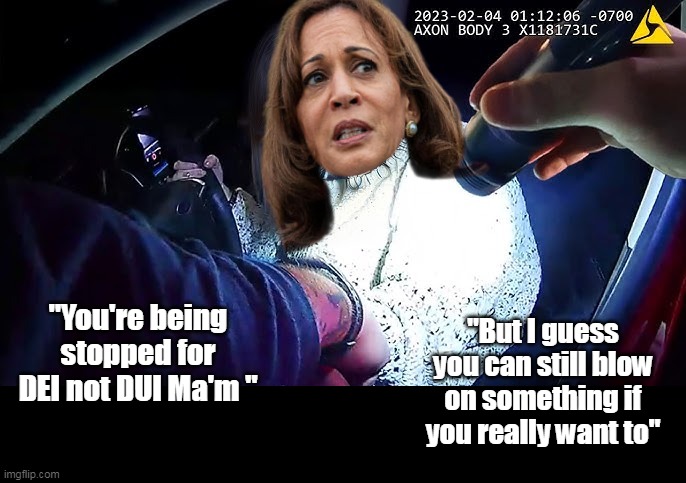 Old habits are hard to break I guess (Kammie needs a Hobby) | "You're being stopped for DEI not DUI Ma'm "; "But I guess you can still blow on something if you really want to" | image tagged in kamala dei dui meme | made w/ Imgflip meme maker