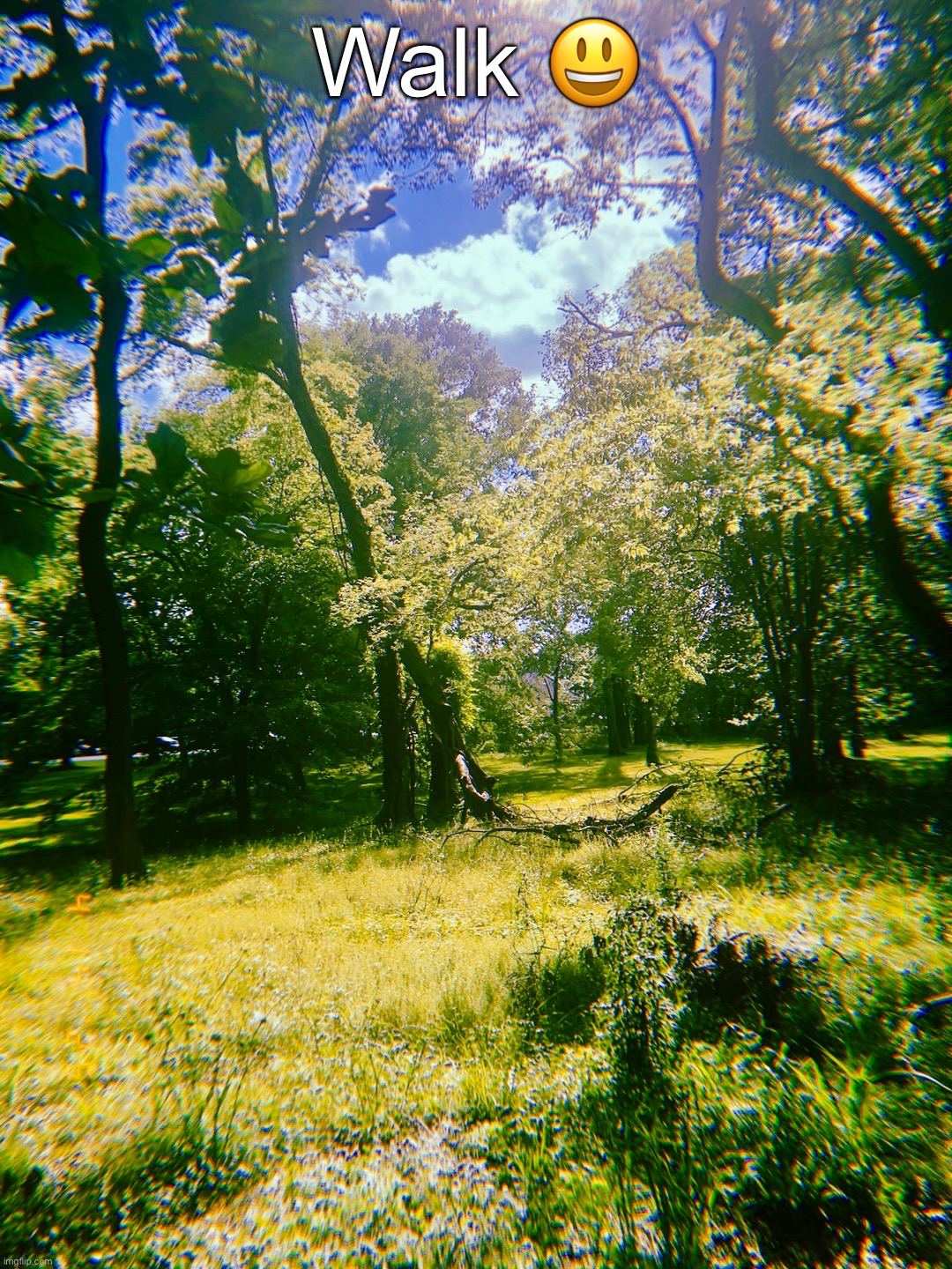 Walk 😃 | made w/ Imgflip meme maker