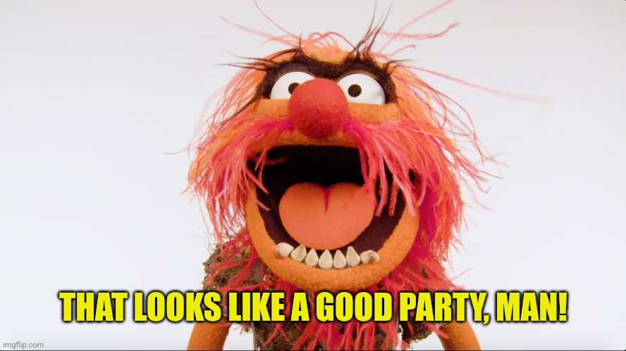 Muppet Animal | THAT LOOKS LIKE A GOOD PARTY, MAN! | image tagged in muppet animal | made w/ Imgflip meme maker