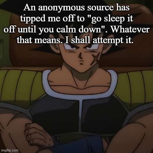 canon bardock | An anonymous source has tipped me off to "go sleep it off until you calm down". Whatever that means. I shall attempt it. | image tagged in canon bardock | made w/ Imgflip meme maker