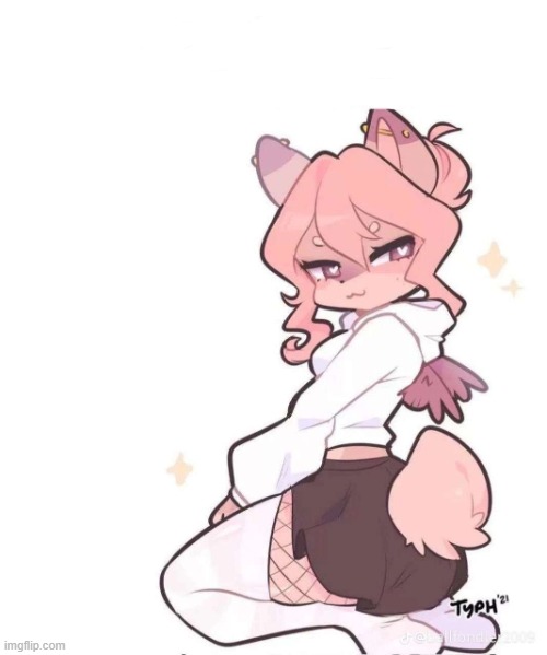 Furry Femboy | image tagged in furry femboy | made w/ Imgflip meme maker