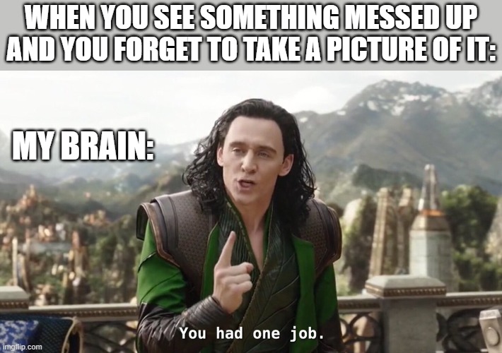It's happened | WHEN YOU SEE SOMETHING MESSED UP AND YOU FORGET TO TAKE A PICTURE OF IT:; MY BRAIN: | image tagged in you had one job just the one | made w/ Imgflip meme maker