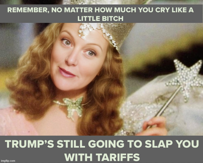 Dear World: No matter how much you cry like a little bitch, Trump's still going to slap you with tariffs. | image tagged in little bitches,tariffs,bitches be like,new world order,world economic forum,donald trump approves | made w/ Imgflip meme maker