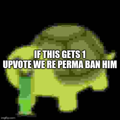 Low Quality Barfing Turtle | IF THIS GETS 1 UPVOTE WE RE PERMA BAN HIM | image tagged in low quality barfing turtle | made w/ Imgflip meme maker