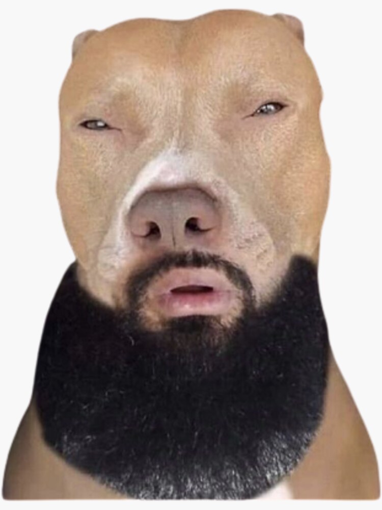 Lightskin dog Blank Meme Template