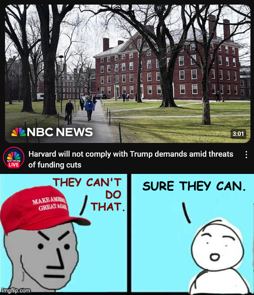 New England has never liked royal pains in the a$$. | SURE THEY CAN. THEY CAN'T 
DO 
THAT. | image tagged in maga npc an an0nym0us template,memes,harvard | made w/ Imgflip meme maker