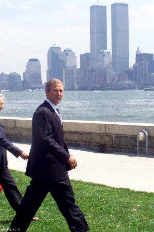 new york is cool | image tagged in bush twin towers | made w/ Imgflip meme maker