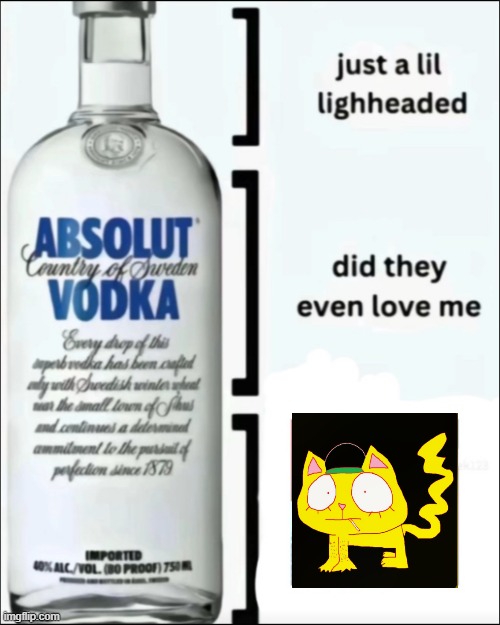 wifiskeleton | image tagged in relatable,music,cat,schizophrenia | made w/ Imgflip meme maker