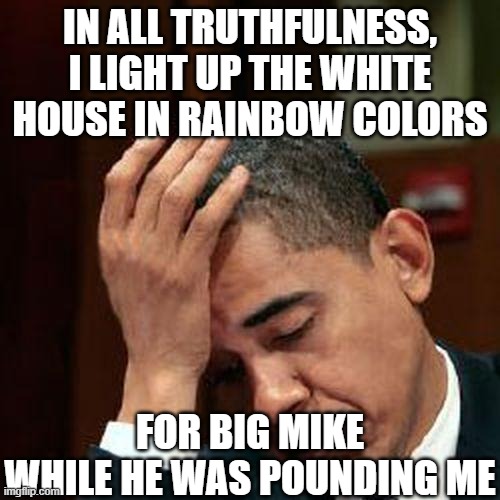 Obama Facepalm 250px | IN ALL TRUTHFULNESS, I LIGHT UP THE WHITE HOUSE IN RAINBOW COLORS FOR BIG MIKE WHILE HE WAS POUNDING ME | image tagged in obama facepalm 250px | made w/ Imgflip meme maker
