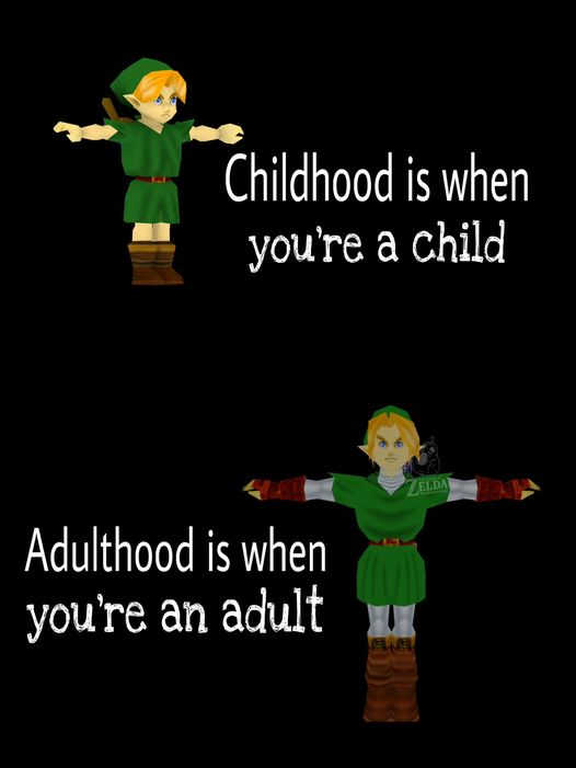 zelda facts Blank Meme Template