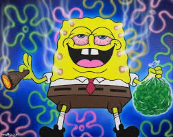 spongle doog | image tagged in spongle doog | made w/ Imgflip meme maker
