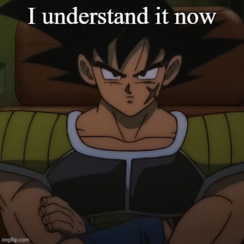 canon bardock | I understand it now | image tagged in canon bardock | made w/ Imgflip meme maker