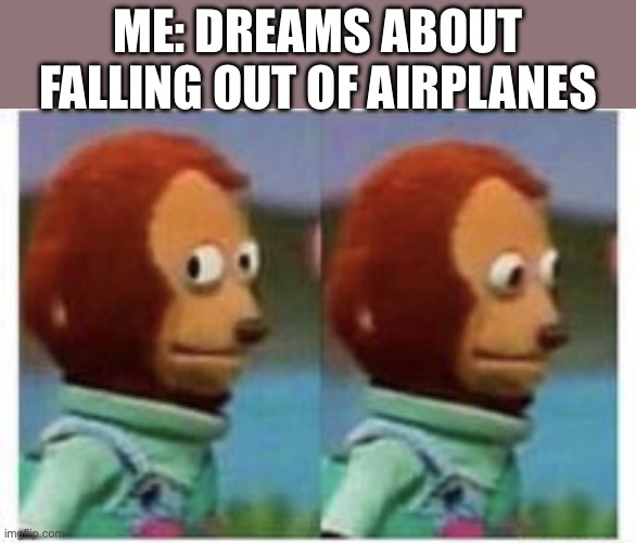 side eye teddy | ME: DREAMS ABOUT FALLING OUT OF AIRPLANES | image tagged in side eye teddy | made w/ Imgflip meme maker