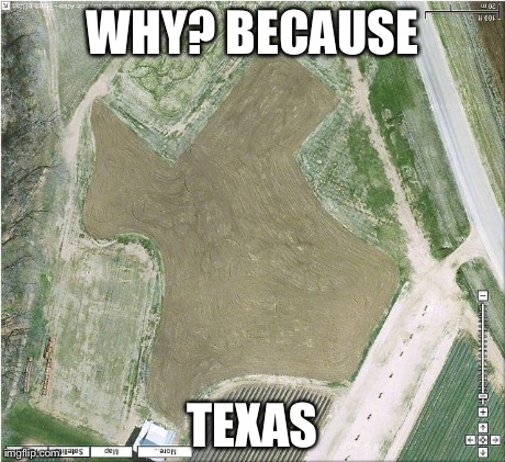 Texas | WHY? BECAUSE TEXAS | image tagged in texas | made w/ Imgflip meme maker