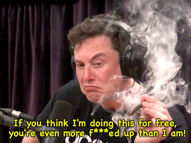 Elon Musk Weed | If you think I'm doing this for free,
 you're even more f***ed up than I am! | image tagged in elon musk weed | made w/ Imgflip meme maker