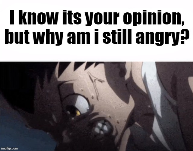 I know its your opinion, but why am i still angry? | made w/ Imgflip meme maker