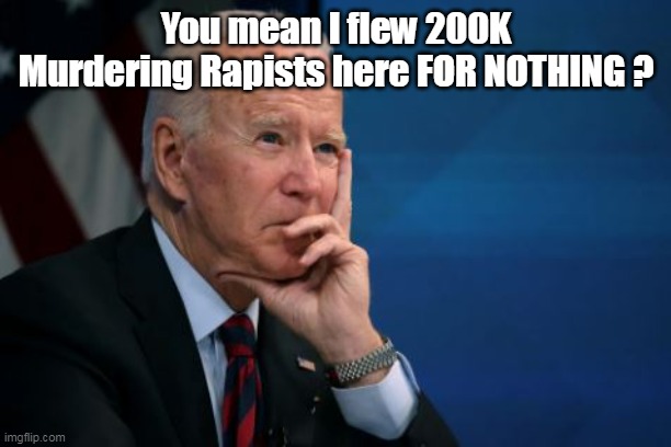 You mean I flew 200K Murdering Rapists here FOR NOTHING ? | made w/ Imgflip meme maker